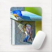020 Bluebird Nesting 7.75x9.25 Muismat (Met muis)
