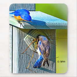 020 Bluebird Nesting 7.75x9.25 Muismat