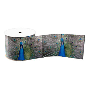 020 Peacock Ribbon Grosgrain Lint
