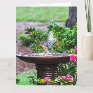 030 matte de la carte 8.5x11 de Bath d'oiseau bleu