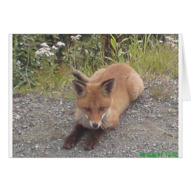 033.JPG (Devant horizontal)