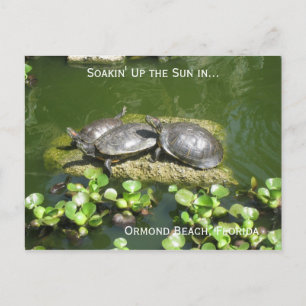 03-21-10 246, Ormond Beach, Florida, Soakin' Up.. Briefkaart