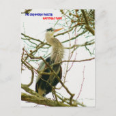 040111-145-APS BRIEFKAART (Voorkant)