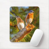 040 Bluebird Courtship 7.75x9.25 Muismat (Met muis)