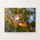 040 Bluebird Courtship Puzzle 11x14 Kinder Legpuzzel (Horizontaal)