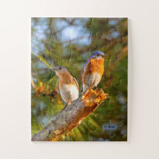 040 Bluebird Courtship Puzzle 11x14 Kinder Legpuzzel