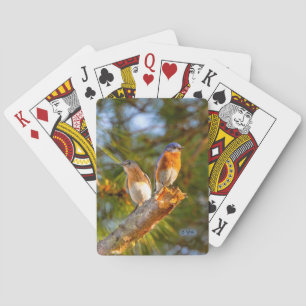 040 cartes de jeu de cour d'oiseau bleu