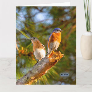 040 Steen van de Kaart 8.5x11 van de Vrijage van