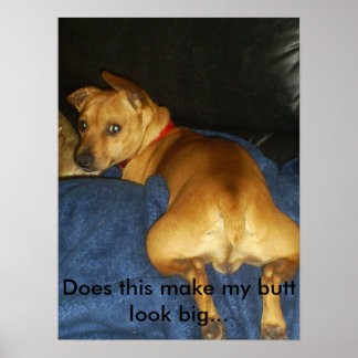 042, maakt dit mijn kont groot... poster