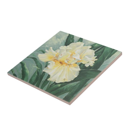 0434 Cream Iris Tegeltje (Zijkant)