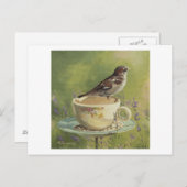 0470 Sparrow Briefkaart (Voorkant / Achterkant)