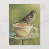 0470 Sparrow Briefkaart (Voorkant)