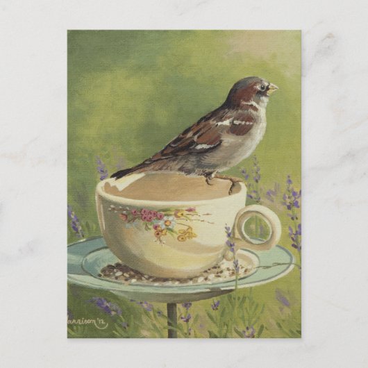 0470 Sparrow Briefkaart (Voorkant)