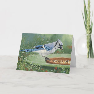 0481 Blue Jay op de feeder Sympathikaart Kaart
