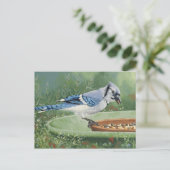 0481 Jay bleu à la carte postale d'alimentation (Debout devant)