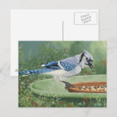 0481 Jay bleu à la carte postale d'alimentation (Devant / Derrière)