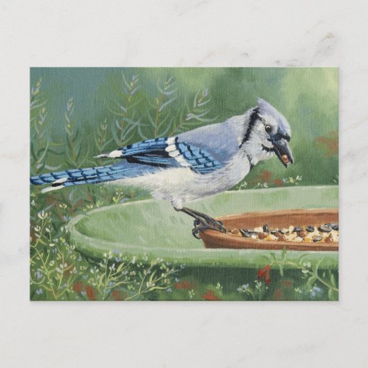 0481 Jay bleu à la carte postale d'alimentation (Devant)
