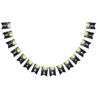 04van de 12 Volleyball-bundeling van hooggeplaatst Vlaggetjes