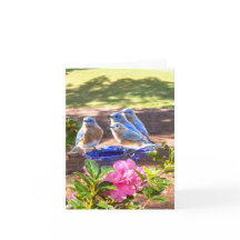 050 d'oiseaux bleus matte de la carte de note pour