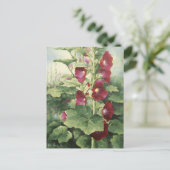 0536 Carte postale Hollyhocks Bourgogne (Debout devant)