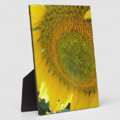 057.JPG FOTOPLAAT (Zijkant)