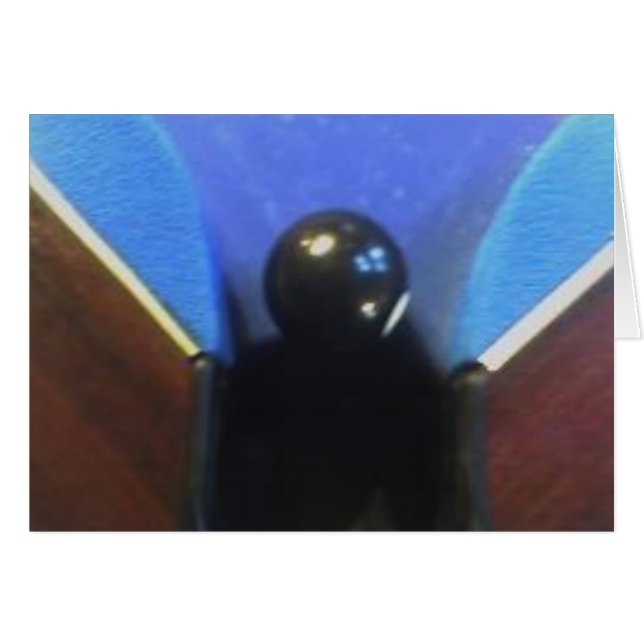 05-11-05_1538 (Devant horizontal)