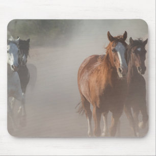 0800-Wilde Mustangs Hardlopen Muismat