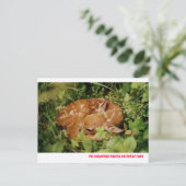 080806-17-APC BRIEFKAART (Staand voorkant)