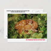 080806-17-APC BRIEFKAART (Voorkant / Achterkant)