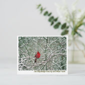 080806-25-APC BRIEFKAART (Staand voorkant)