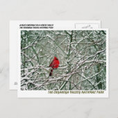 080806-25-APC BRIEFKAART (Voorkant / Achterkant)