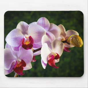 0834-Roze Orchideeën Muismat