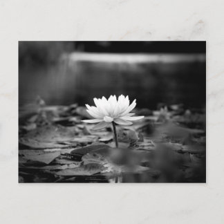 085-reeks1 briefkaart