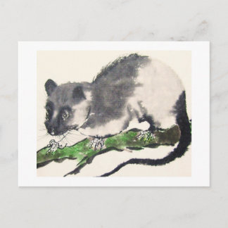 09 * Rat * Ratten-Postkarten * Rat-Postc Briefkaart