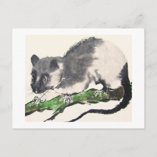 09 * Rat * Ratten-Postkarten * Rat-Postc Briefkaart (Voorkant)