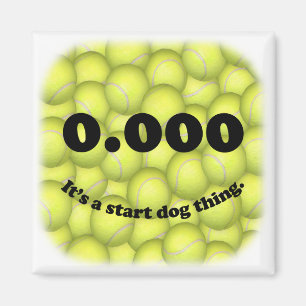 0,000, début parfait de Flyball ! Aimant de