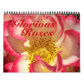 0 2013 Gloride Rozen Kalender (Hoes)