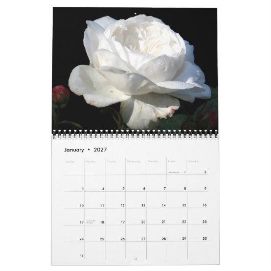 0 2013 Gloride Rozen Kalender (Jan 2027)