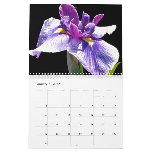 0 2013 Iris-shadden Kalender (Jan 2027)