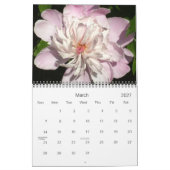 0 2013 volken kalender (Mar 2027)