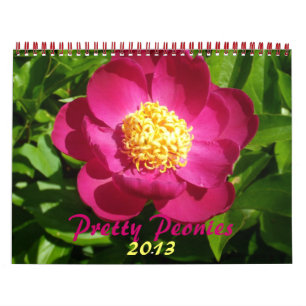 0 2013 volken kalender