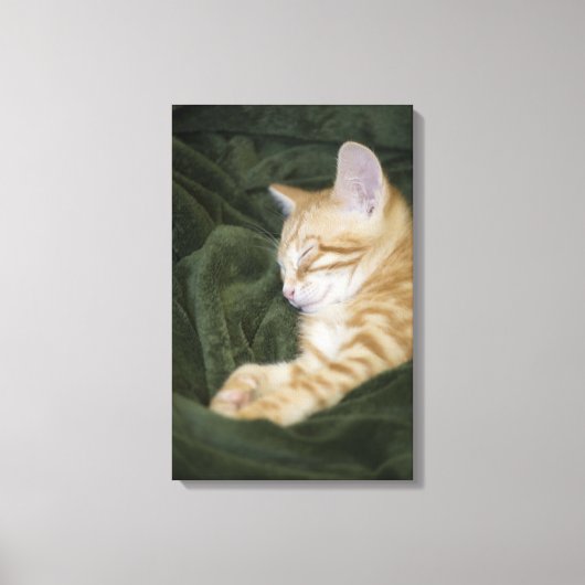 0 3 CANVAS AFDRUK (Voorkant)