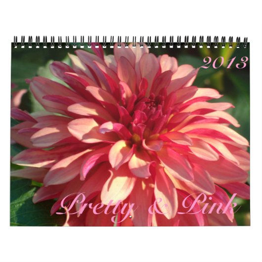 0  en roze 2013 kalender (Hoes)