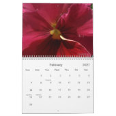 0 Pansies, Pansies Kalender (Feb 2027)