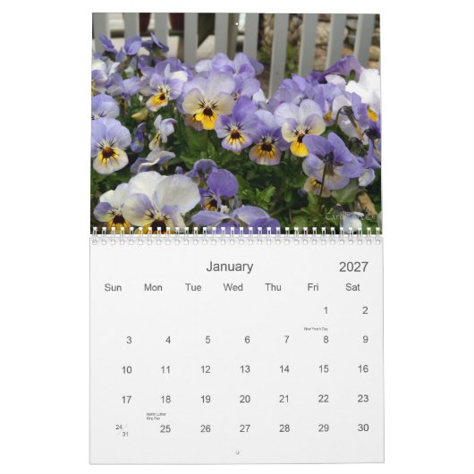 0 Pansies, Pansies Kalender (Jan 2027)