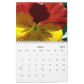 0 Pansies, Pansies Kalender (Mar 2027)