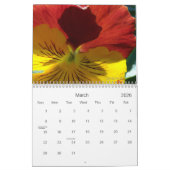 0 Pansies,  Pansies Kalender (Mar 2026)
