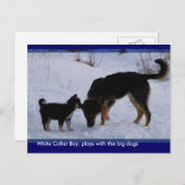 0WCB_boy, ... Briefkaart (Voorkant / Achterkant)