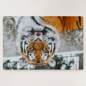1000 Piece Cute Tigre Jigsaw Puzzle (Horizontal)