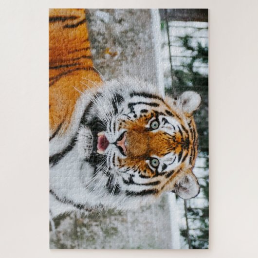 1000 Piece Cute Tigre Jigsaw Puzzle (Vertical)